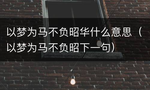 以梦为马不负昭华什么意思（以梦为马不负昭下一句）