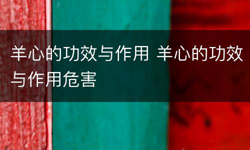 羊心的功效与作用 羊心的功效与作用危害