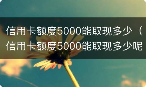 信用卡额度5000能取现多少（信用卡额度5000能取现多少呢）