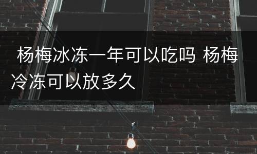  杨梅冰冻一年可以吃吗 杨梅冷冻可以放多久