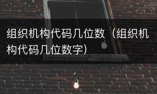 组织机构代码几位数（组织机构代码几位数字）