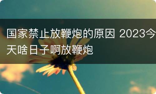 国家禁止放鞭炮的原因 2023今天啥日子啊放鞭炮