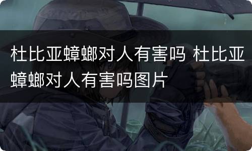 杜比亚蟑螂对人有害吗 杜比亚蟑螂对人有害吗图片