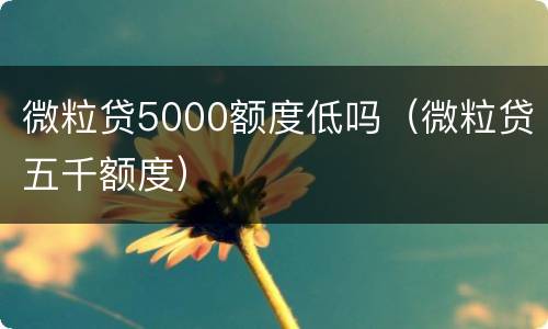 微粒贷5000额度低吗（微粒贷五千额度）