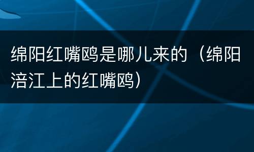 绵阳红嘴鸥是哪儿来的（绵阳涪江上的红嘴鸥）