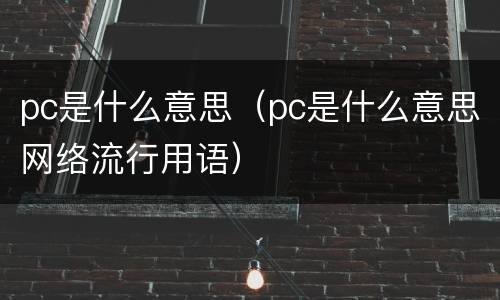 pc是什么意思（pc是什么意思网络流行用语）