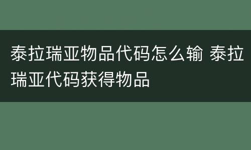 泰拉瑞亚物品代码怎么输 泰拉瑞亚代码获得物品