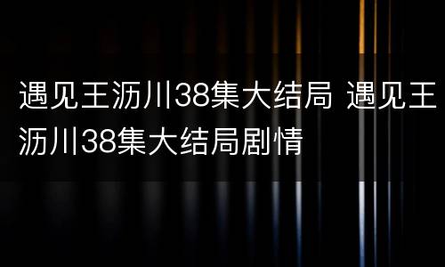 遇见王沥川38集大结局 遇见王沥川38集大结局剧情