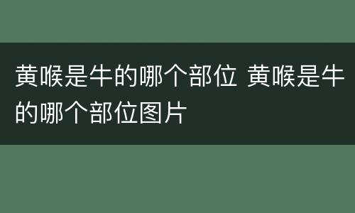 黄喉是牛的哪个部位 黄喉是牛的哪个部位图片