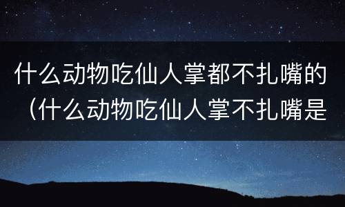 什么动物吃仙人掌都不扎嘴的（什么动物吃仙人掌不扎嘴是骆驼还是非洲鸵鸟）