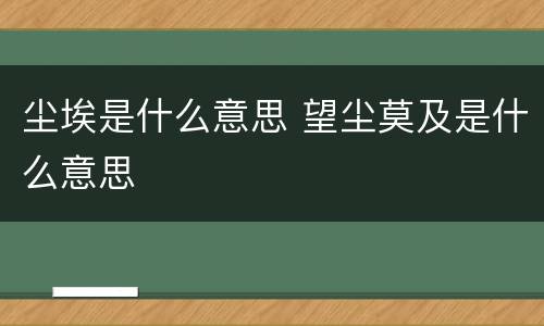 尘埃是什么意思 望尘莫及是什么意思