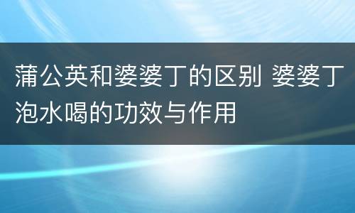 蒲公英和婆婆丁的区别 婆婆丁泡水喝的功效与作用