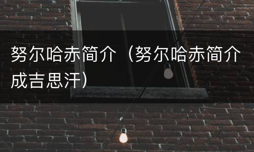 努尔哈赤简介（努尔哈赤简介成吉思汗）