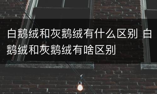 白鹅绒和灰鹅绒有什么区别 白鹅绒和灰鹅绒有啥区别