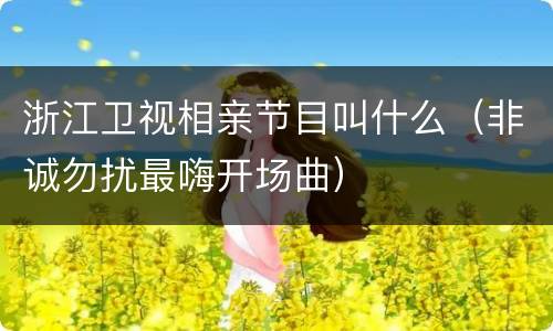 浙江卫视相亲节目叫什么（非诚勿扰最嗨开场曲）