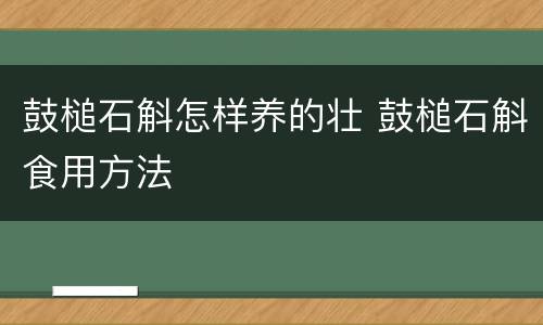 鼓槌石斛怎样养的壮 鼓槌石斛食用方法