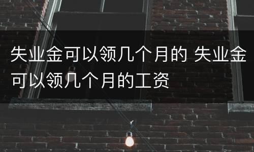 失业金可以领几个月的 失业金可以领几个月的工资