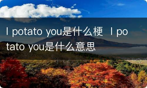 I potato you是什么梗  I potato you是什么意思