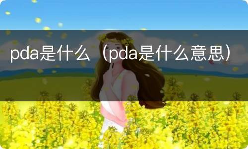 pda是什么（pda是什么意思）