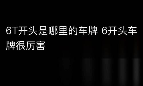 6T开头是哪里的车牌 6开头车牌很厉害