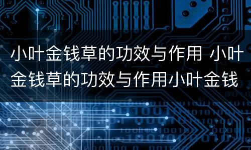 小叶金钱草的功效与作用 小叶金钱草的功效与作用小叶金钱草的归经