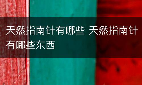 天然指南针有哪些 天然指南针有哪些东西