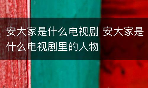 安大家是什么电视剧 安大家是什么电视剧里的人物