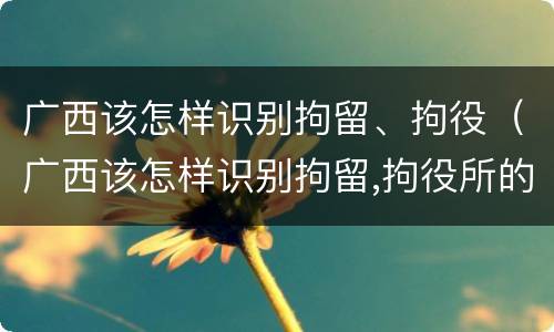 广西该怎样识别拘留、拘役（广西该怎样识别拘留,拘役所的人）