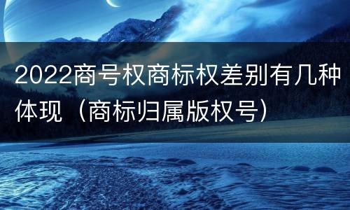 2022商号权商标权差别有几种体现（商标归属版权号）