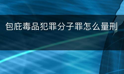 包庇毒品犯罪分子罪怎么量刑