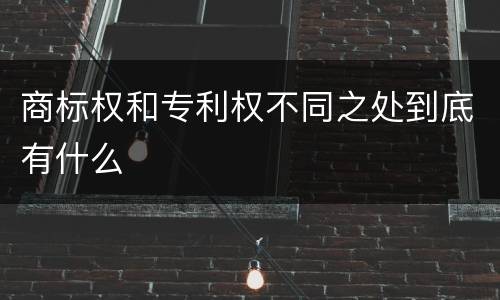 商标权和专利权不同之处到底有什么