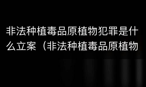 非法种植毒品原植物犯罪是什么立案（非法种植毒品原植物量刑）