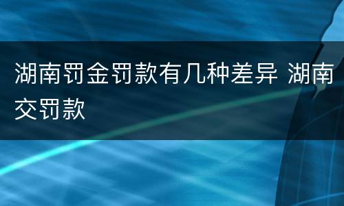 湖南罚金罚款有几种差异 湖南交罚款