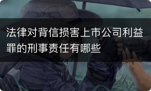 法律对背信损害上市公司利益罪的刑事责任有哪些