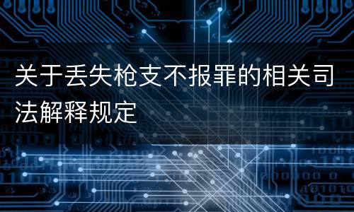 关于丢失枪支不报罪的相关司法解释规定