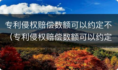 专利侵权赔偿数额可以约定不（专利侵权赔偿数额可以约定不赔付吗）