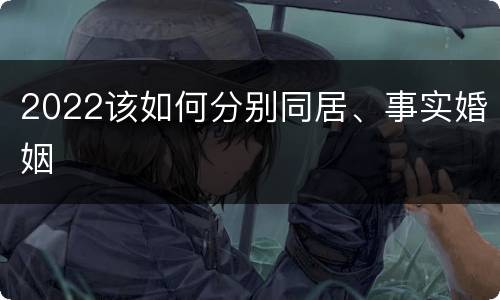 2022该如何分别同居、事实婚姻