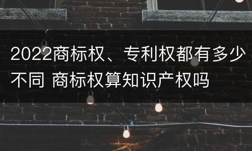 2022商标权、专利权都有多少不同 商标权算知识产权吗