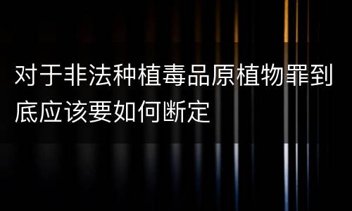 对于非法种植毒品原植物罪到底应该要如何断定