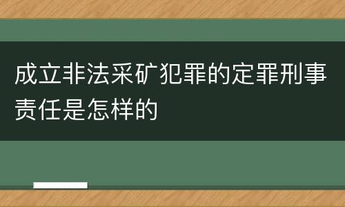 成立非法采矿犯罪的定罪刑事责任是怎样的