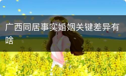 广西同居事实婚姻关键差异有啥