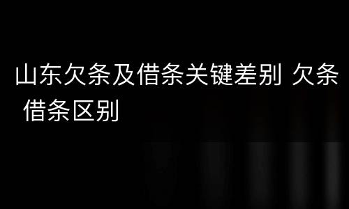 山东欠条及借条关键差别 欠条 借条区别