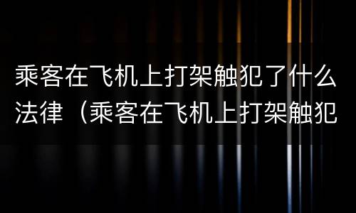 乘客在飞机上打架触犯了什么法律（乘客在飞机上打架触犯了什么法律条款）