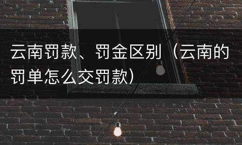 云南罚款、罚金区别（云南的罚单怎么交罚款）