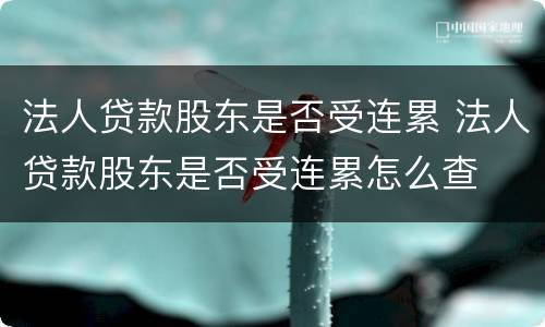 法人贷款股东是否受连累 法人贷款股东是否受连累怎么查