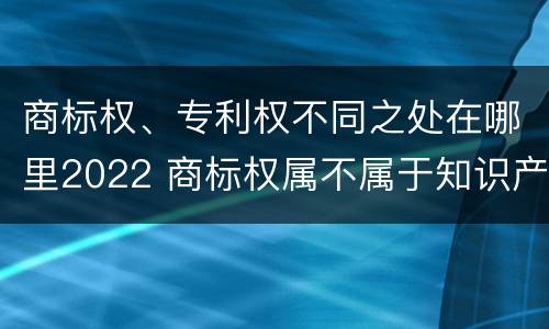 商标权、专利权不同之处在哪里2022 商标权属不属于知识产权