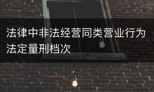 法律中非法经营同类营业行为法定量刑档次