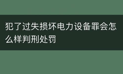 犯了过失损坏电力设备罪会怎么样判刑处罚