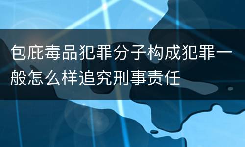 包庇毒品犯罪分子构成犯罪一般怎么样追究刑事责任