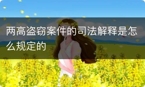 两高盗窃案件的司法解释是怎么规定的